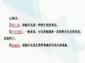 高考生物总复习第4单元第13课细胞的分化、衰老和死亡课件