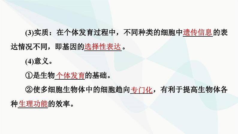 高考生物总复习第4单元第13课细胞的分化、衰老和死亡课件06