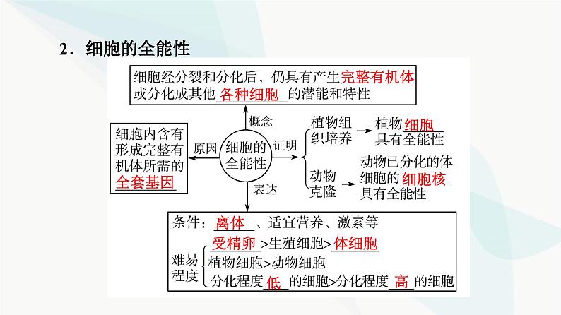 高考生物总复习第4单元第13课细胞的分化、衰老和死亡课件07