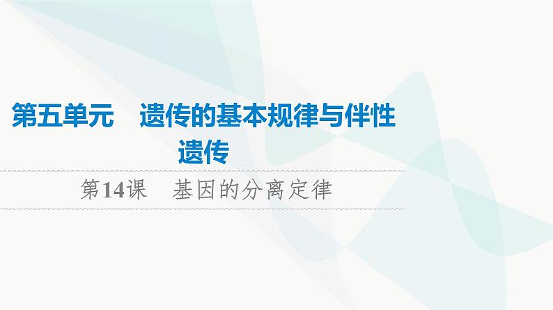 高考生物总复习第5单元第14课基因的分离定律课件第1页