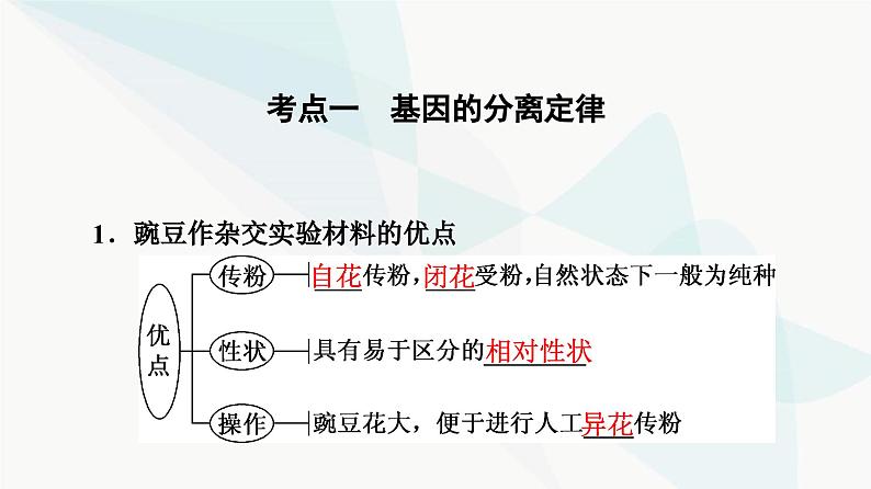 高考生物总复习第5单元第14课基因的分离定律课件第4页