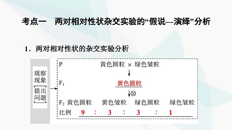 高考生物总复习第5单元第15课基因的自由组合定律课件第4页