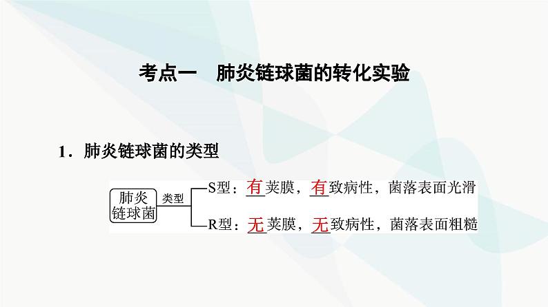 高考生物总复习第6单元第17课DNA是主要的遗传物质课件04