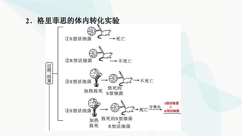 高考生物总复习第6单元第17课DNA是主要的遗传物质课件05