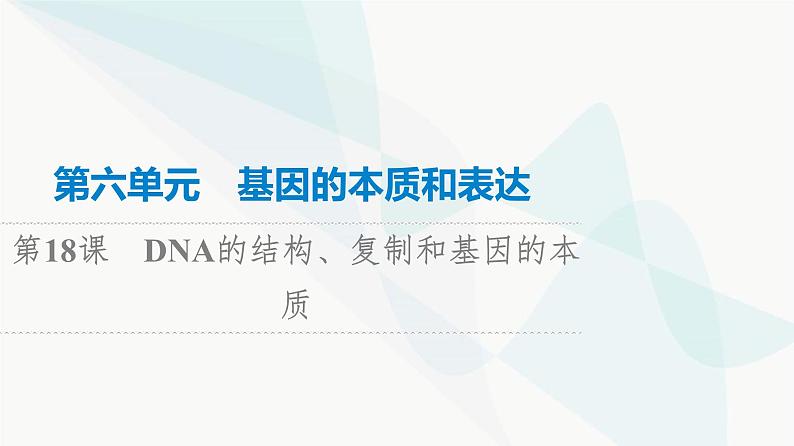 高考生物总复习第6单元第18课DNA的结构、复制和基因的本质课件01