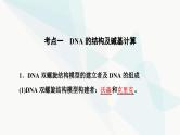 高考生物总复习第6单元第18课DNA的结构、复制和基因的本质课件