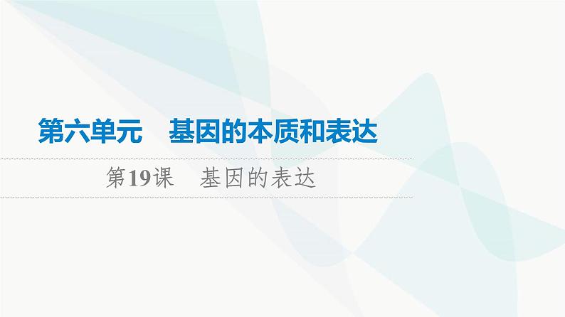 高考生物总复习第6单元第19课基因的表达课件第1页