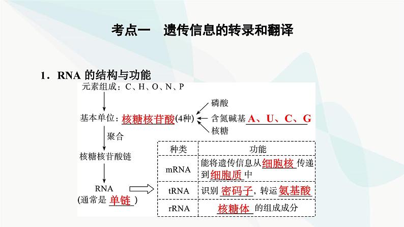 高考生物总复习第6单元第19课基因的表达课件第4页