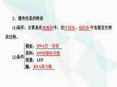 高考生物总复习第6单元第19课基因的表达课件