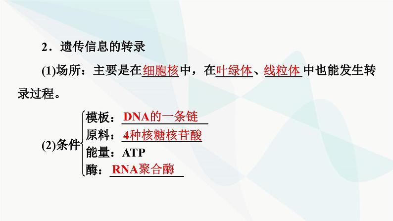 高考生物总复习第6单元第19课基因的表达课件第5页