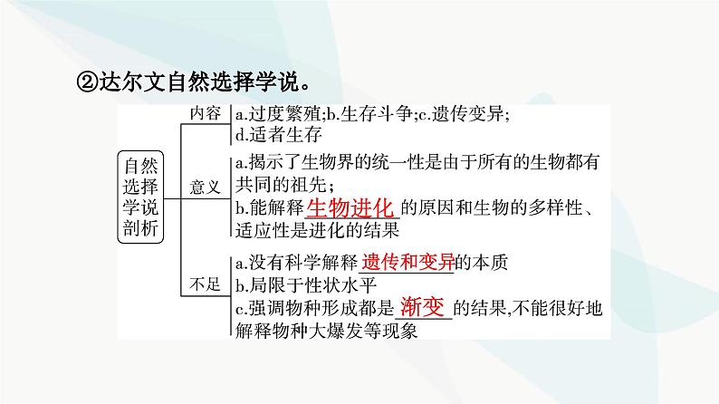 高考生物总复习第7单元第22课生物的进化课件08