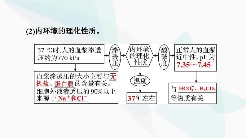 高考生物总复习第8单元第23课人体的内环境与稳态课件08