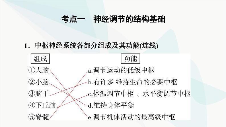 高考生物总复习第8单元第24课神经调节的结构基础及基本方式课件04