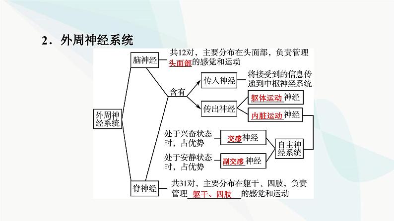 高考生物总复习第8单元第24课神经调节的结构基础及基本方式课件05