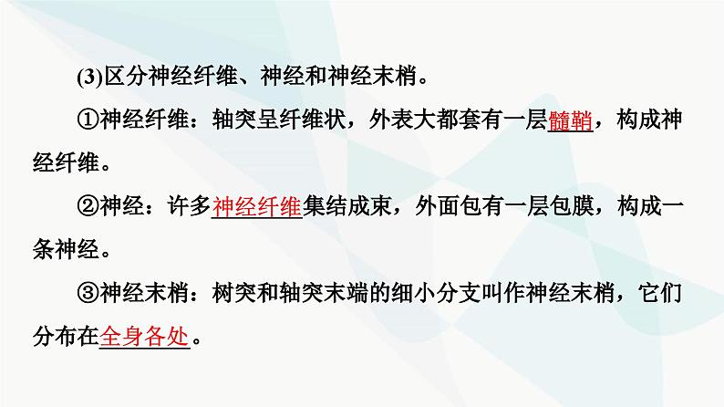 高考生物总复习第8单元第24课神经调节的结构基础及基本方式课件08