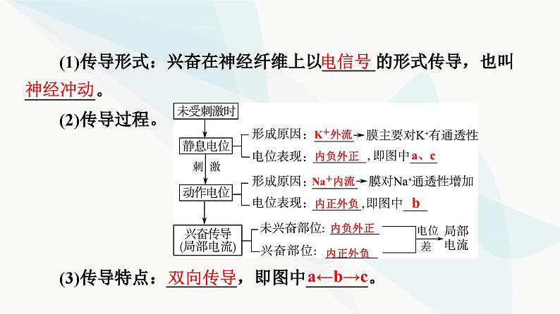 高考生物总复习第8单元第25课神经冲动的产生和传导神经系统的分级调节及人脑的高级功能课件06