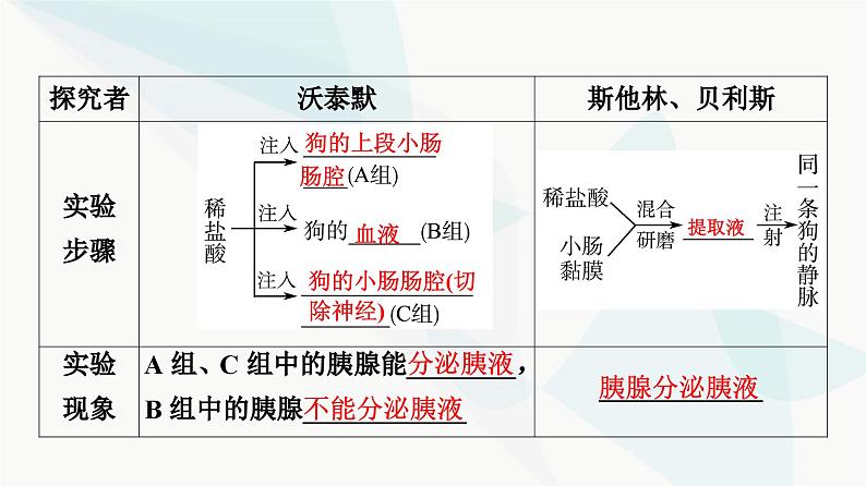 高考生物总复习第8单元第26课内分泌系统组成与体液调节的过程课件第5页