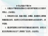 高考生物总复习第8单元第29课植物生命活动的调节课件