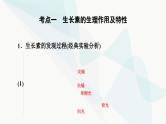 高考生物总复习第8单元第29课植物生命活动的调节课件