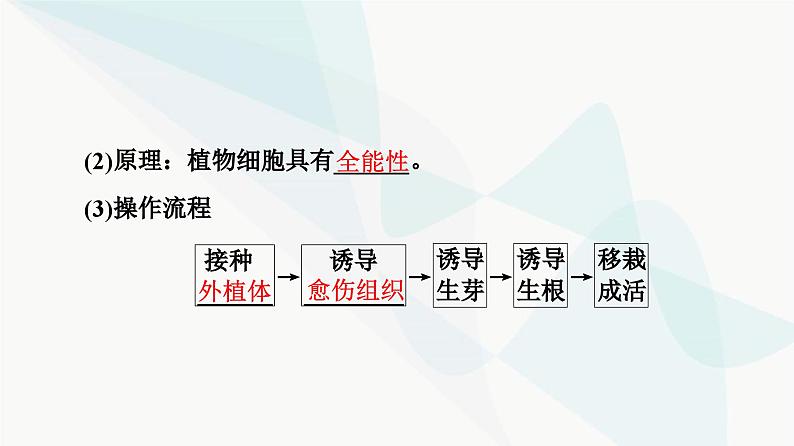 高考生物总复习第10单元第37课植物细胞工程课件06