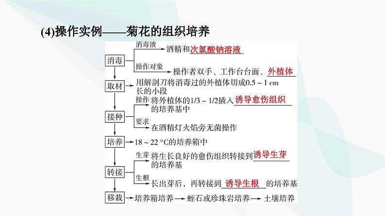 高考生物总复习第10单元第37课植物细胞工程课件07