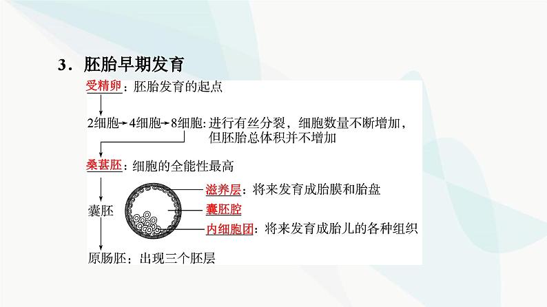 高考生物总复习第10单元第39课胚胎工程生物技术的安全性与伦理问题课件07