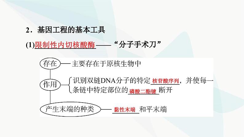 高考生物总复习第10单元第40课基因工程课件05