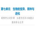 高考生物总复习第7单元高频考点进阶课3遗传变异与细胞分裂的综合应用课件