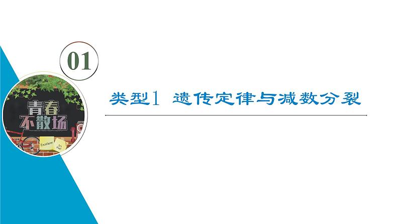 高考生物总复习第7单元高频考点进阶课3遗传变异与细胞分裂的综合应用课件02