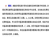 高考生物总复习第7单元高频考点进阶课3遗传变异与细胞分裂的综合应用课件