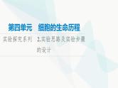 高考生物总复习第4单元实验探究系列2实验思路及实验步骤的设计课件