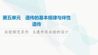 高考生物总复习第5单元实验探究系列3遗传类实验的设计课件