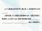 高考生物总复习第8单元实验探究系列5分析实验结果得出实验结论课件
