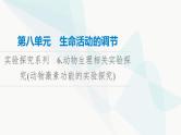 高考生物总复习第8单元实验探究系列6动物生理相关实验探究(动物激素功能的实验探究)课件
