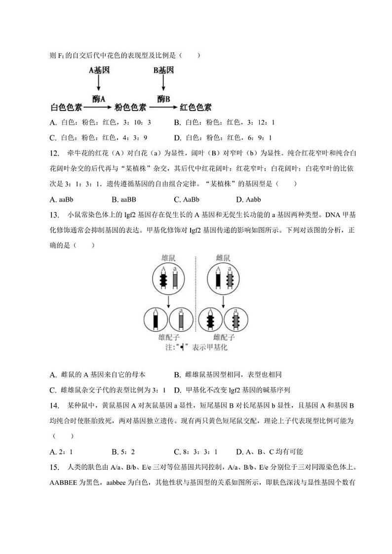 安徽省滁州市定远中学2022-2023学年高一下学期5月第二次阶段性检测生物试题第3页