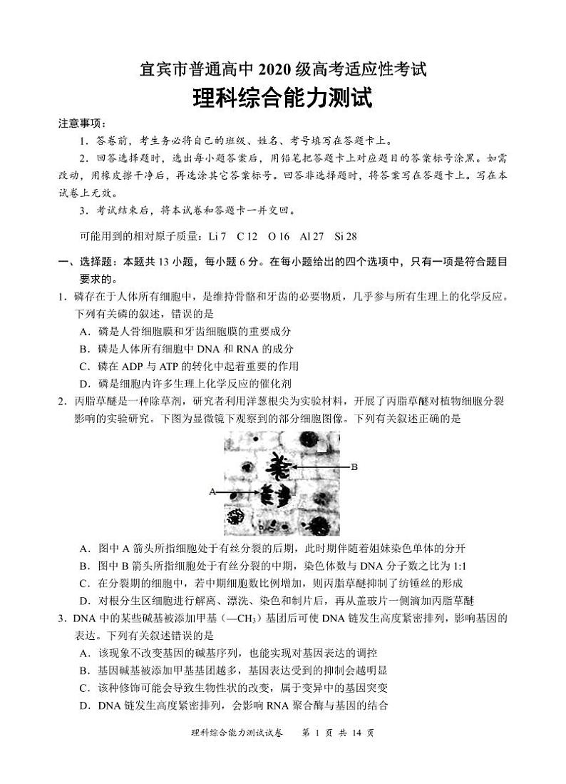 四川省宜宾市2023届高三下学期三模试题  理综  PDF版含答案（缺生物答案）01