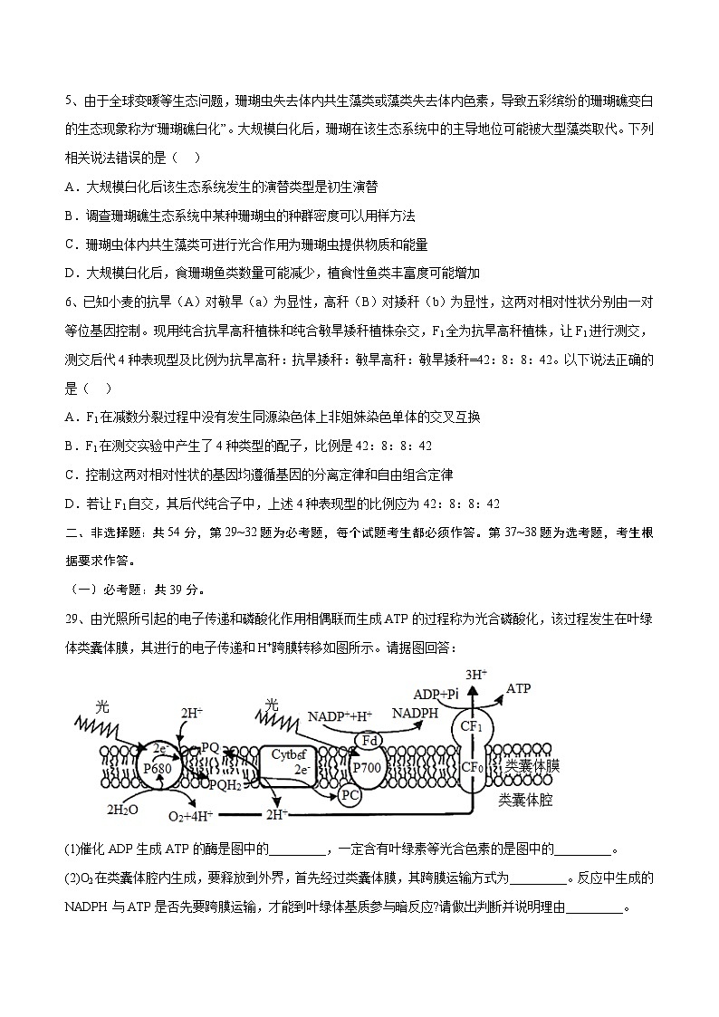 卷01-【冲刺抢分】2023年高考生物临考压轴卷（全国甲卷）（原卷版）第2页