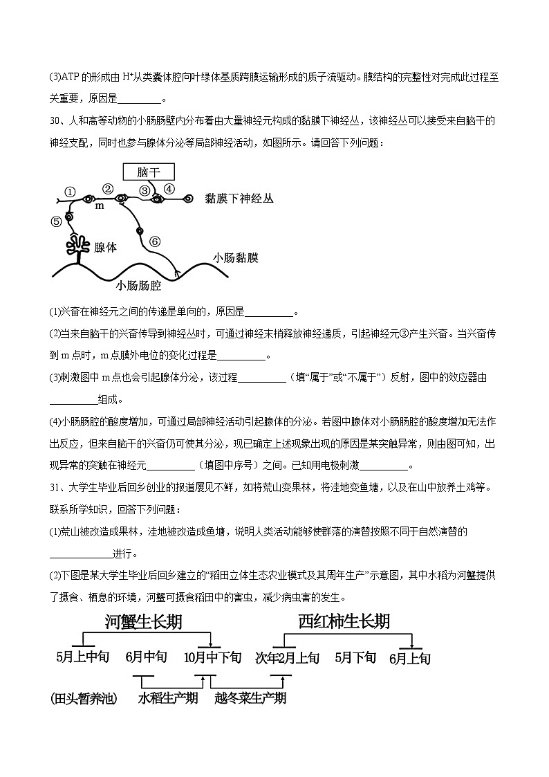 卷01-【冲刺抢分】2023年高考生物临考压轴卷（全国甲卷）（原卷版）第3页