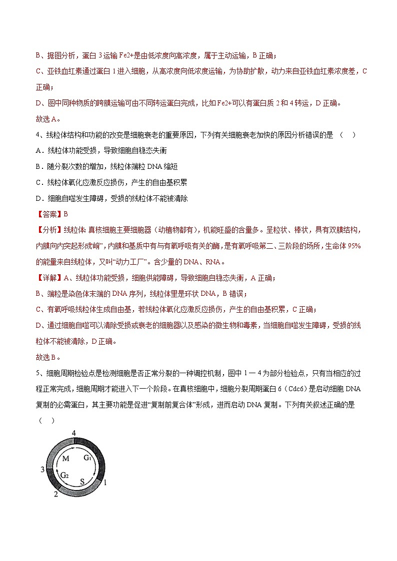 卷03-【冲刺抢分】2023年高考生物临考压轴卷（江苏卷）（解析版）03