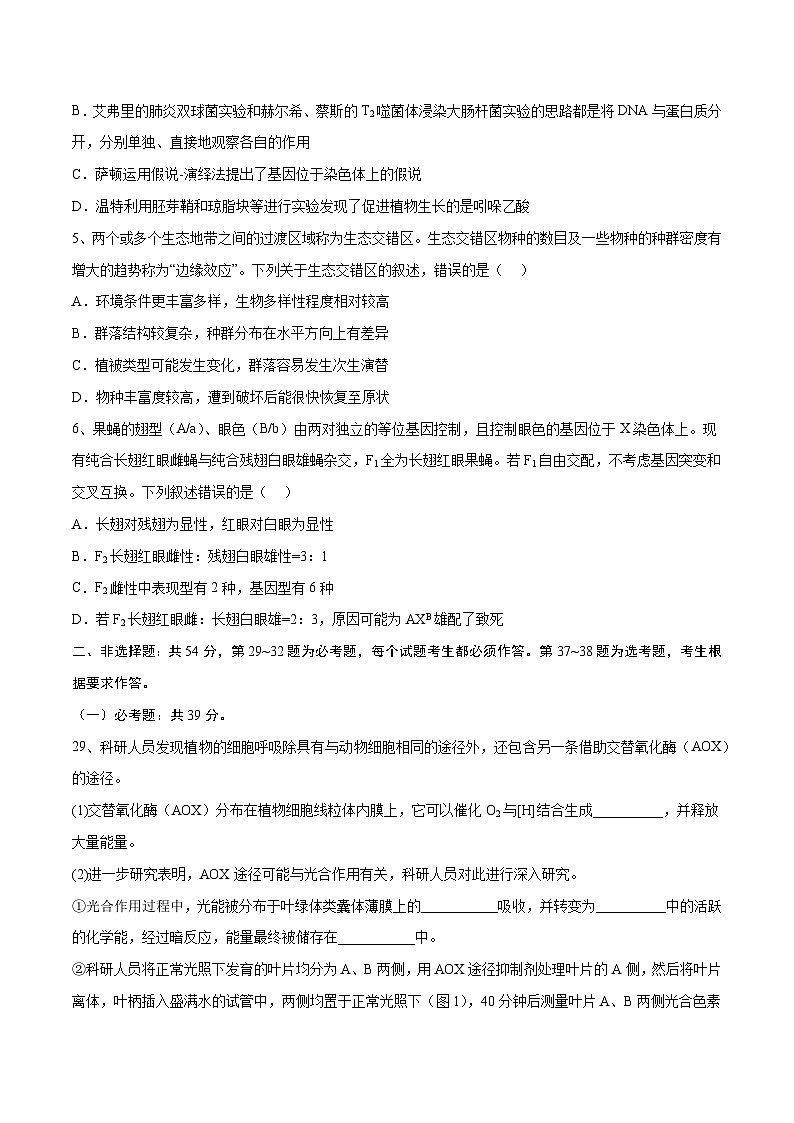卷04-【冲刺抢分】2023年高考生物临考压轴卷（全国甲卷）（原卷版）02