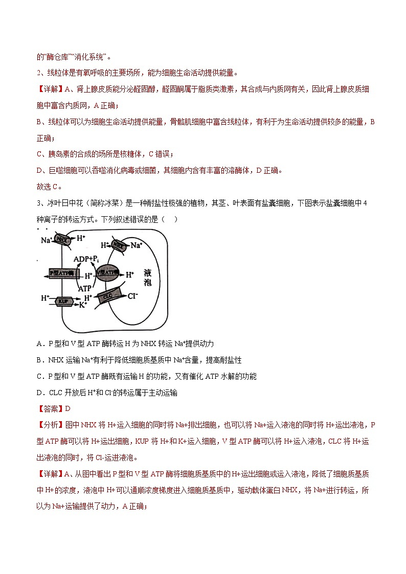 卷04-【冲刺抢分】2023年高考生物临考压轴卷（江苏卷）（解析版）02