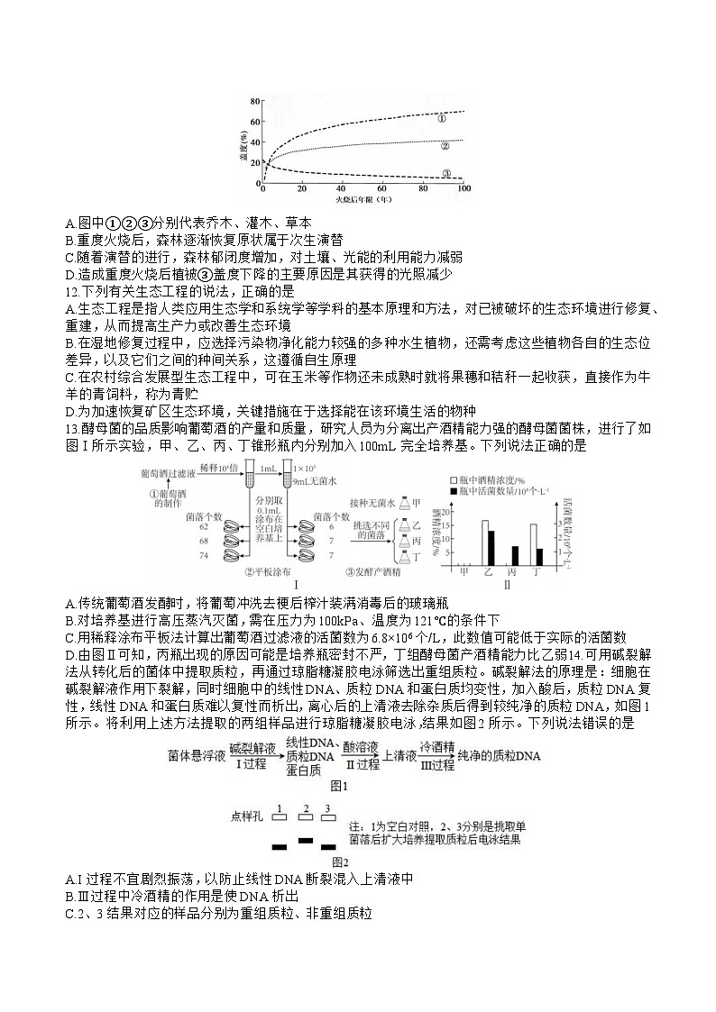 2023届山东省济南市山东师范大学附属中学高三下学期6月模拟考试生物试题03