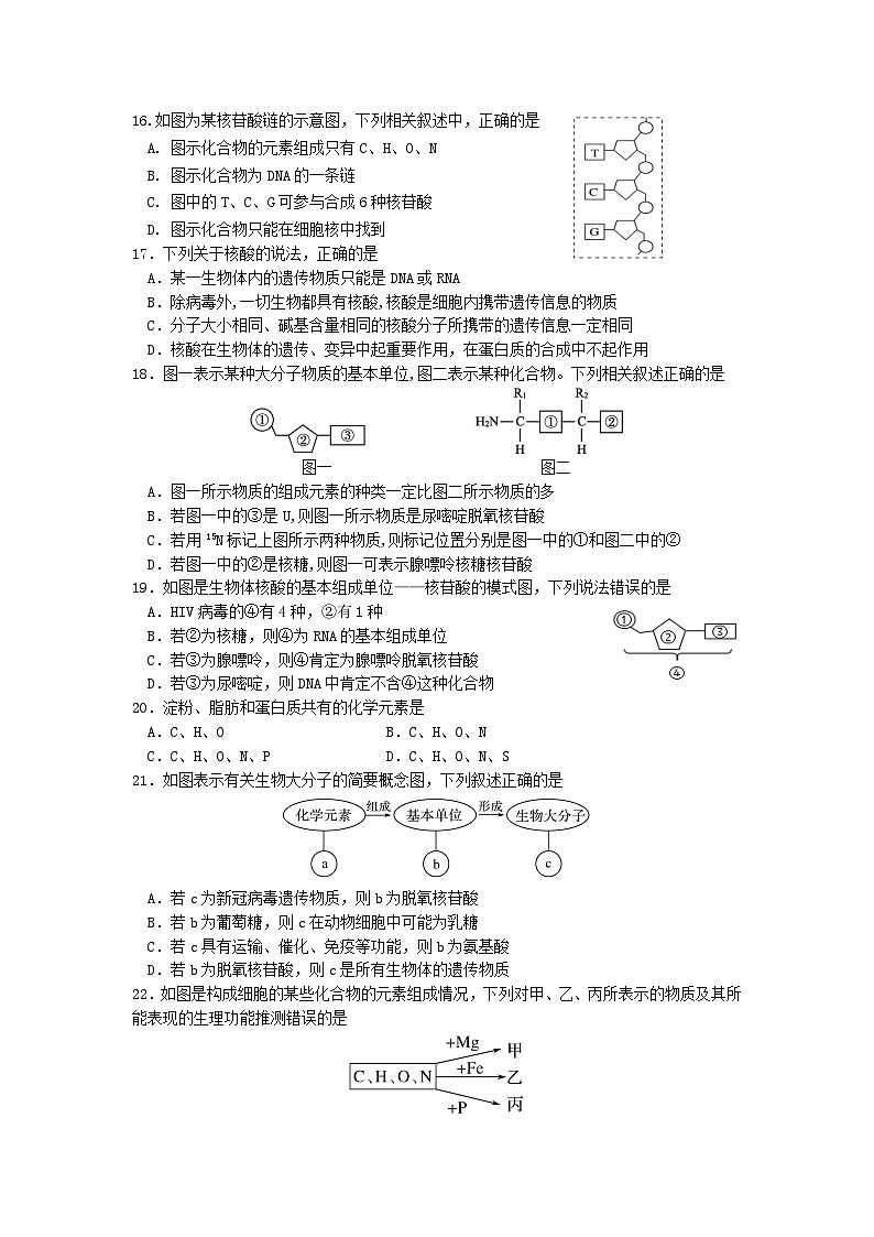 江苏省南京市六校联合体2022-2023学年高一上学期期中联合调研生物试题第3页