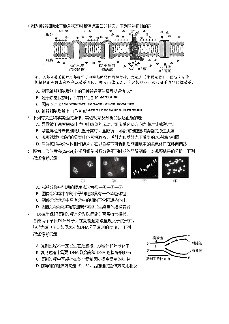 江苏省苏州市2022-2023学年高三上学期期中考试生物试卷第2页
