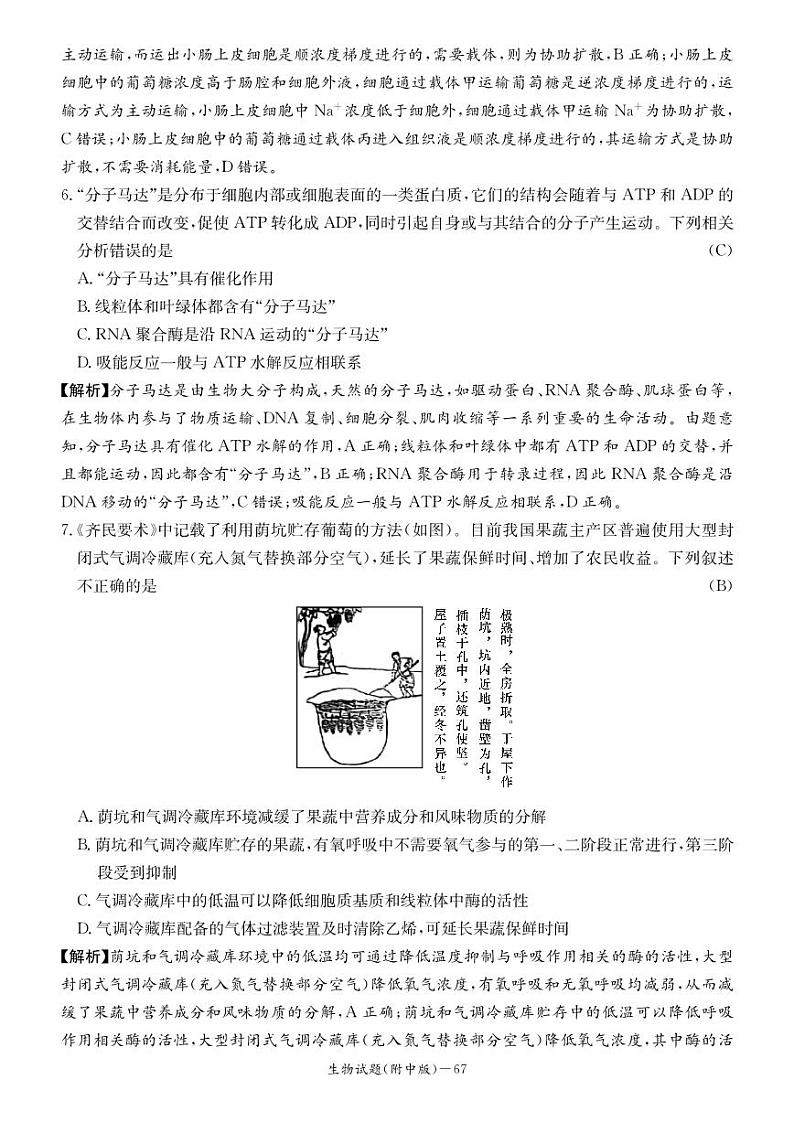 湖南师大附中2023届高三月考（二）生物试题第3页