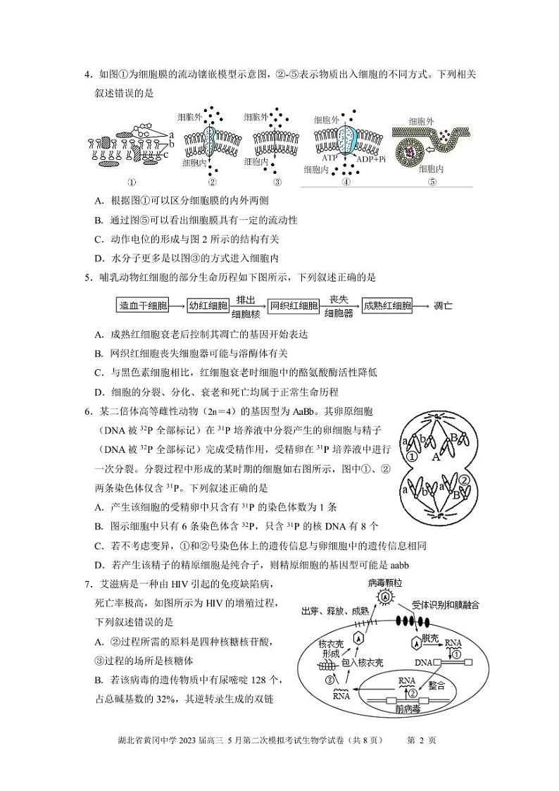 湖北省黄冈中学2023届高三5月第二次模拟考试生物试卷PDF版含答案答题卡02