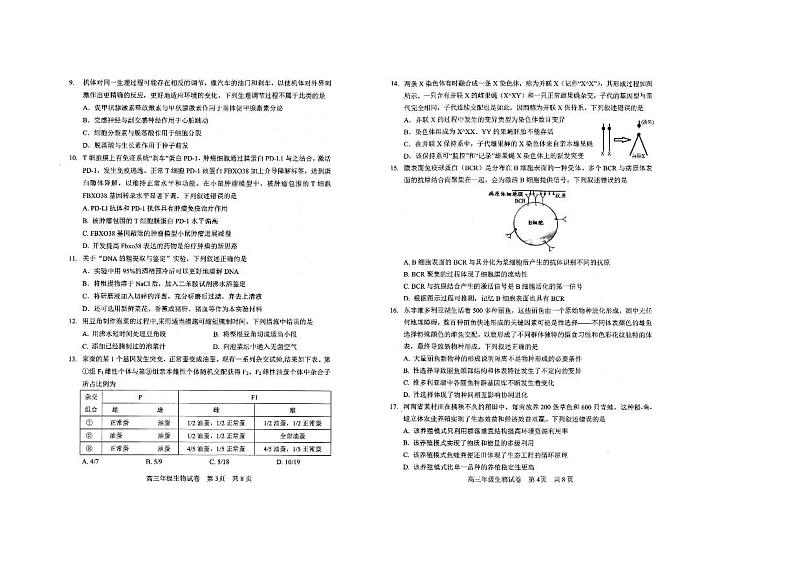 湖北省武汉市武昌区2022-2023学年高三下学期5月质量检测生物试卷Word版含答案02