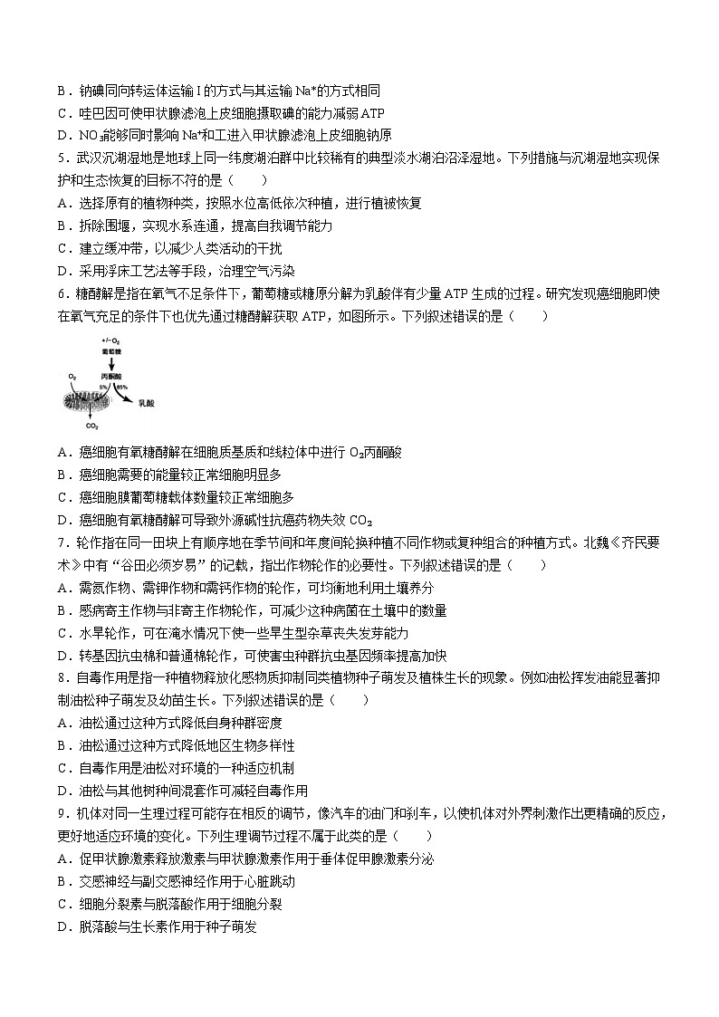 湖北省武汉市武昌区2022-2023学年高三下学期5月质量检测生物试卷Word版含答案02