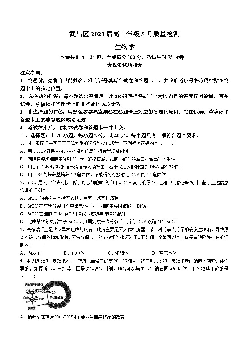 湖北省武汉市武昌区2022-2023学年高三下学期5月质量检测生物试卷Word版含答案01
