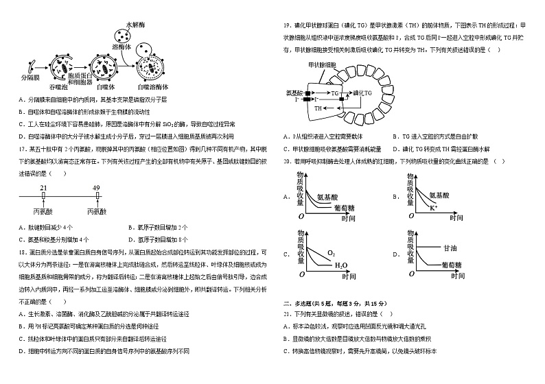 河北省大名县第一中学2022-2023学年高二下学期6月月考生物试题及答案第3页